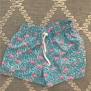 Chubbies flamingo Teal and Pink Swim Shorts size small 4” inseam